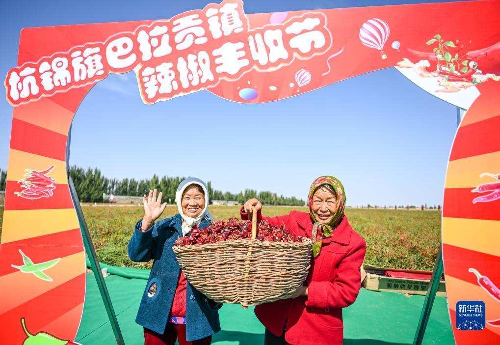 菠菜优惠